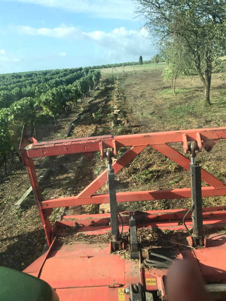 Réalisation travaux forestiers SARL BERGER en Charente-Maritime - Photo 10