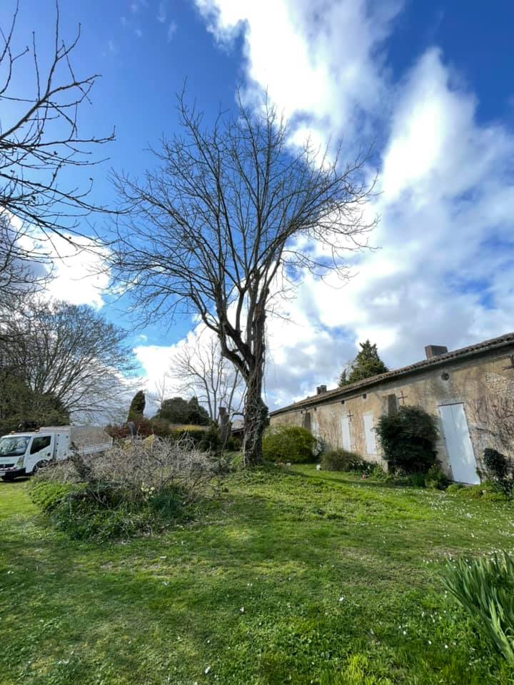 Réalisation travaux forestiers SARL BERGER en Charente-Maritime - Photo 19