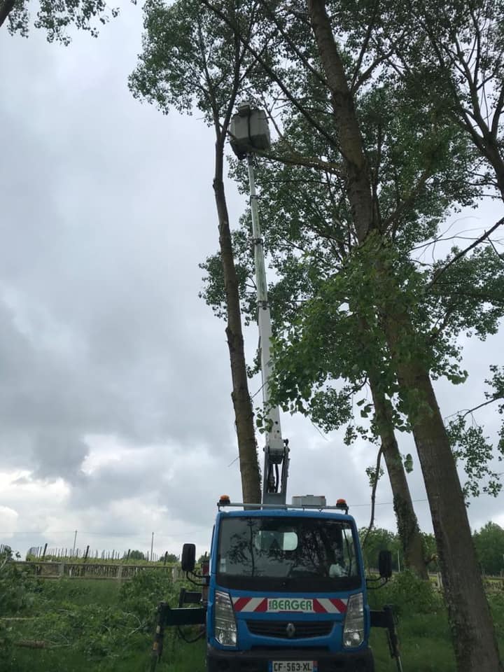 Réalisation travaux forestiers SARL BERGER en Charente-Maritime - Photo 7