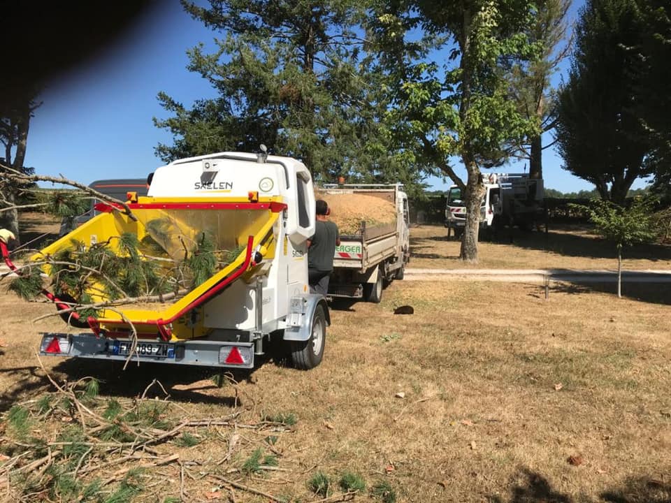 Réalisation travaux forestiers SARL BERGER en Charente-Maritime - Photo 9