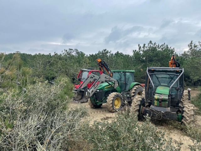 Débroussaillage et broyage de végétation par la SARL BERGER en Charente-Maritime