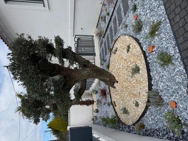 Création paysagère et aménagement de jardin par la SARL BERGER en Charente-Maritime