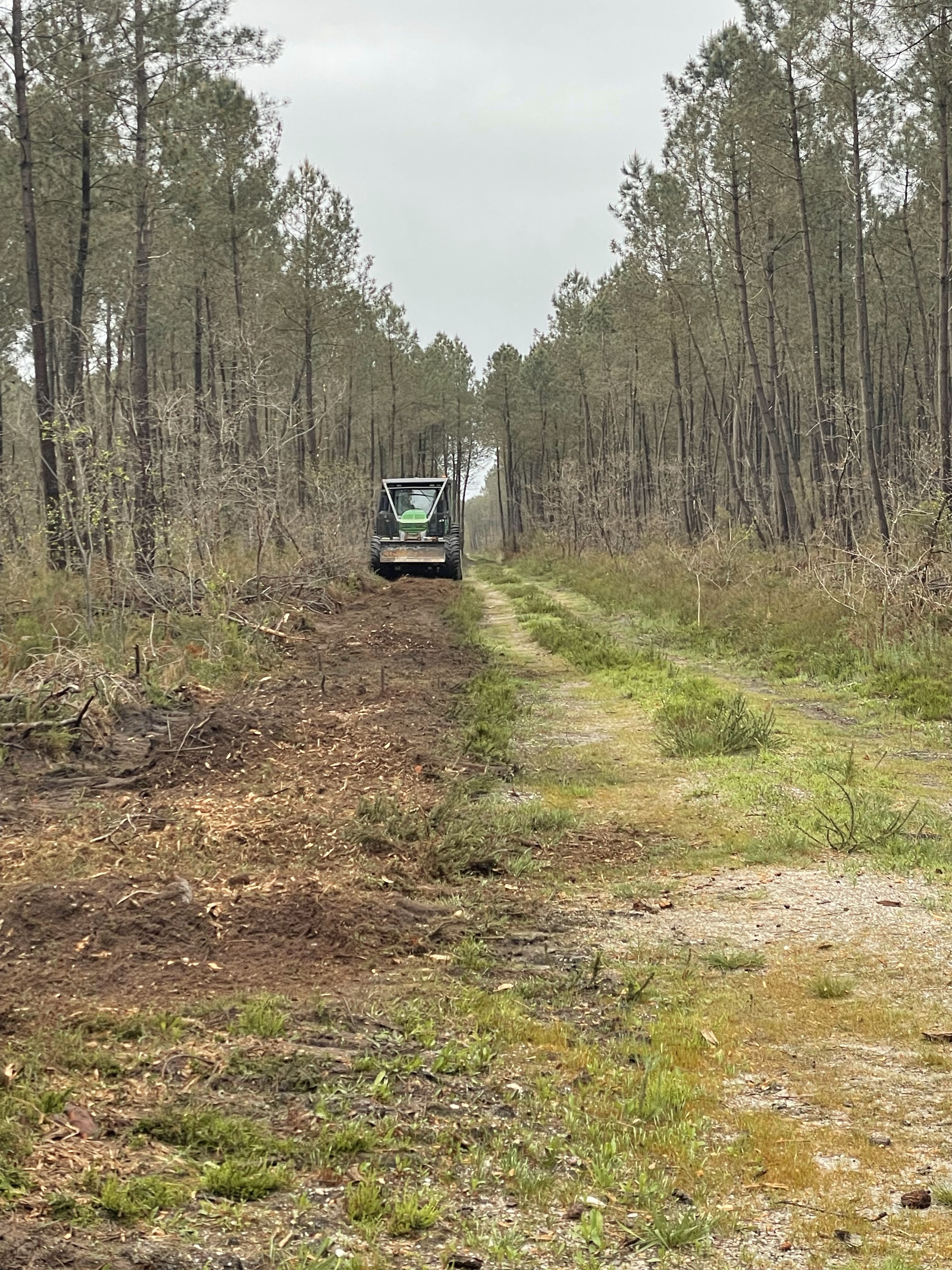 Broyage forestier et entretien de parcelle par la SARL BERGER en Charente-Maritime