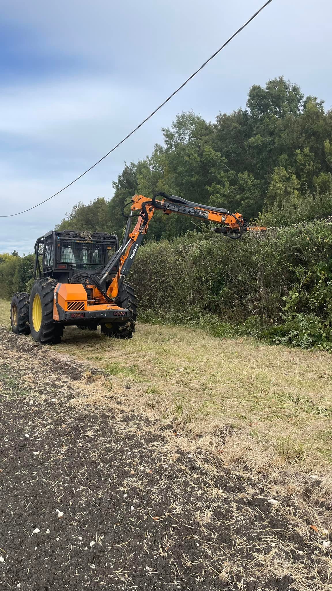 Broyage forestier et entretien de parcelle par la SARL BERGER en Charente-Maritime