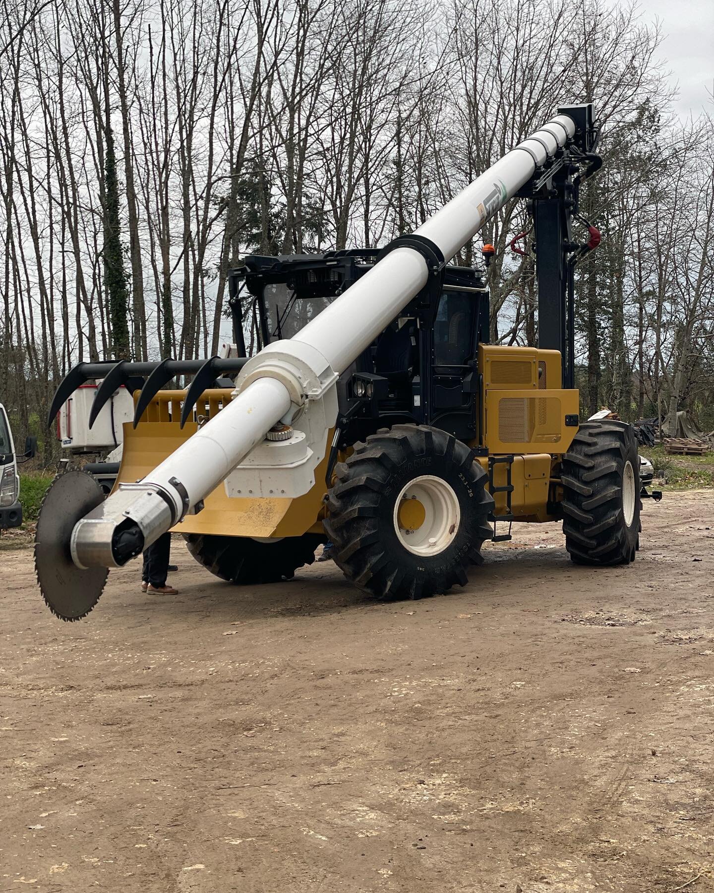 Broyage forestier et entretien de parcelle par la SARL BERGER en Charente-Maritime