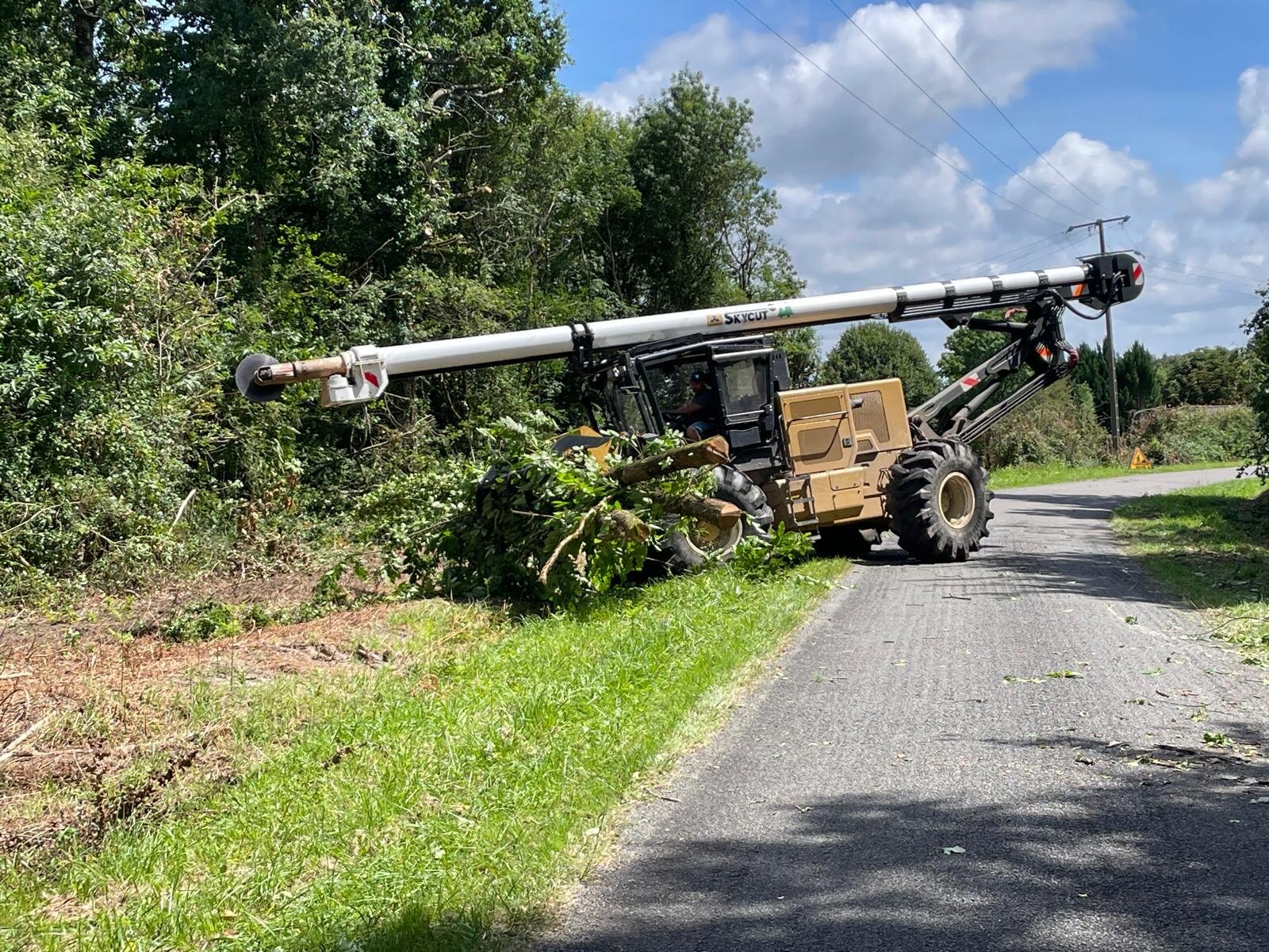 Broyage forestier et entretien de parcelle par la SARL BERGER en Charente-Maritime