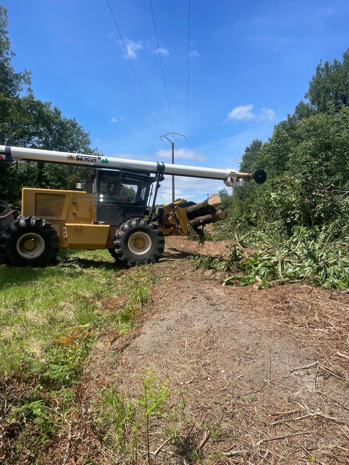 Broyage forestier et entretien de parcelle par la SARL BERGER en Charente-Maritime