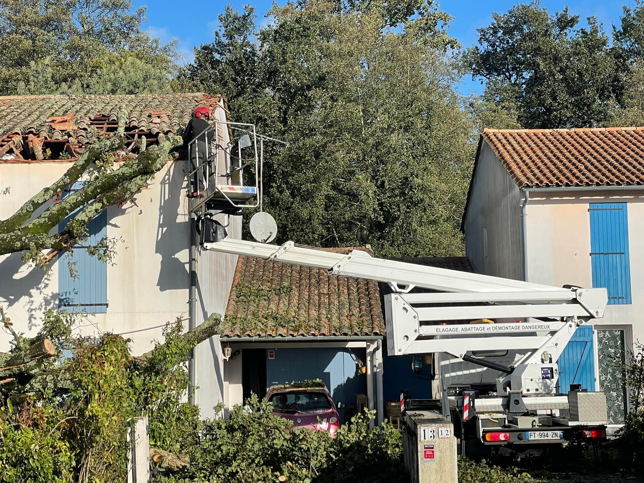 Démontage dangereux d'un arbre tombé sur une toiture en nacelle par la SARL BERGER