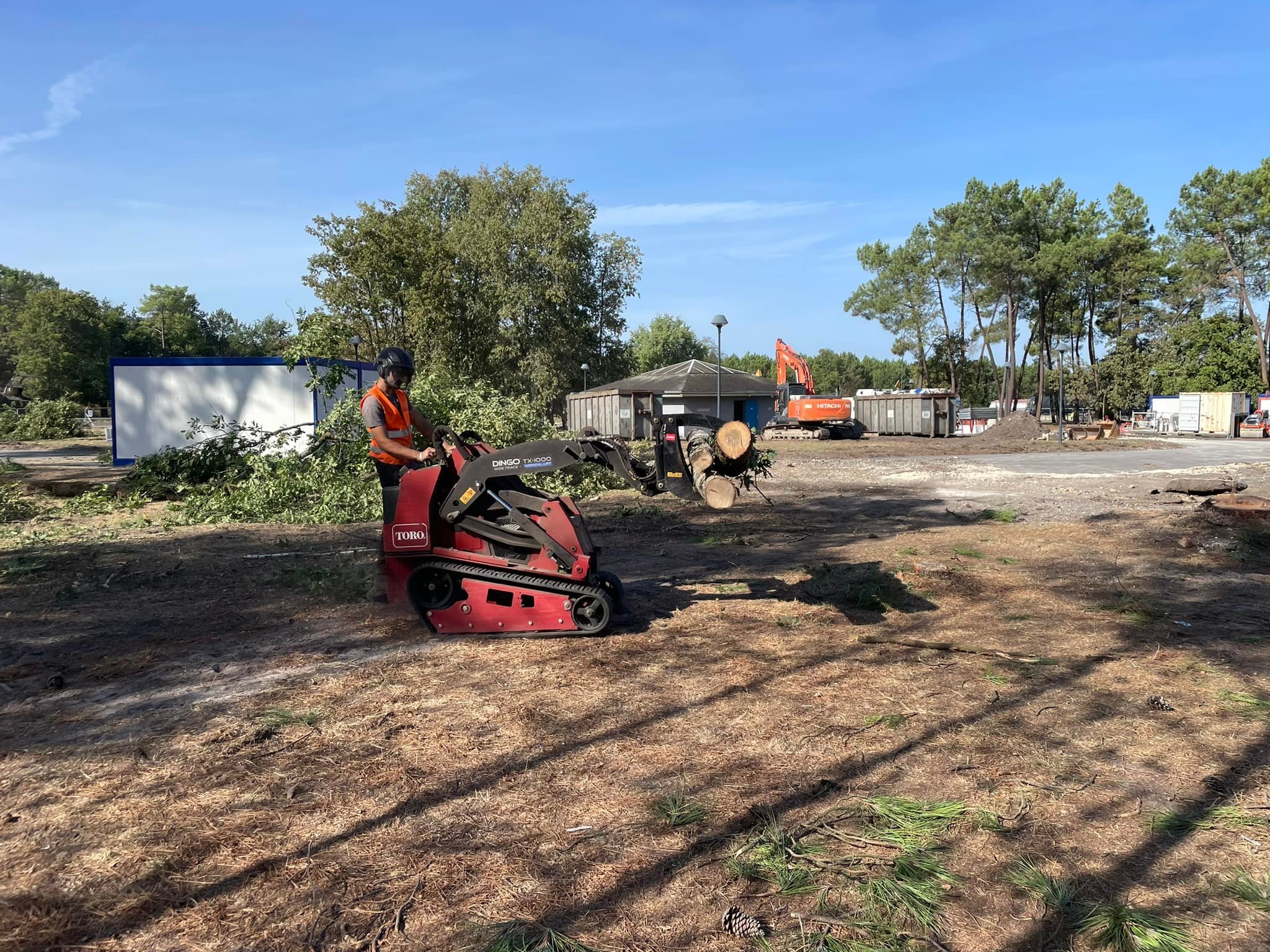 Débardage et évacuation de troncs au mini-chargeur sur un chantier forestier par la SARL BERGER